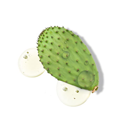 Pure Match Liquid Concealer 5W